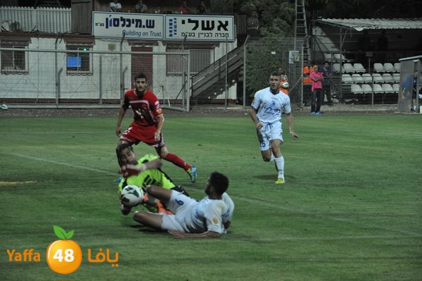 koraludn5478339 (54).JPG